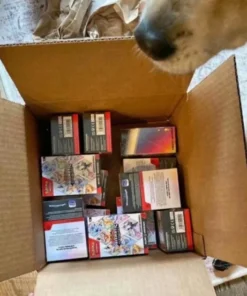 Pokémon TCG pallets