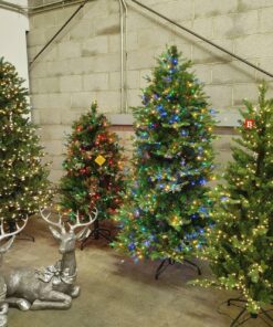 Kerstboom Kopen