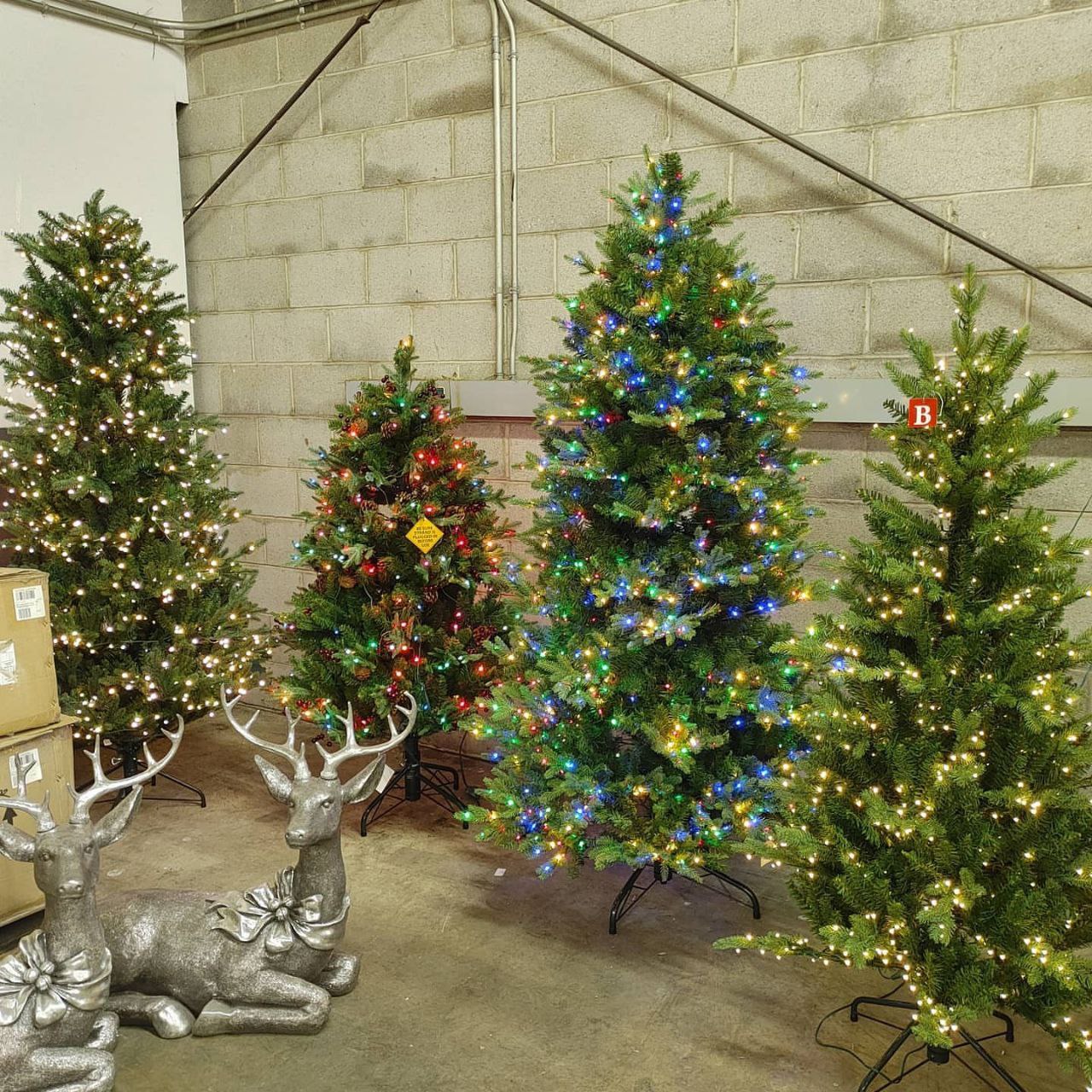 Kerstboom Kopen
