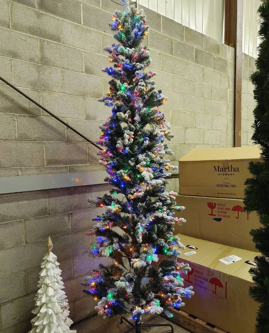 Kerstboom Kopen